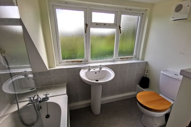 Cottage to rent in Water Lane, Shalford, Braintree