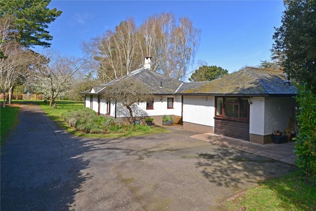Detached house for sale in Bossington Lane, Porlock, Minehead, Somerset