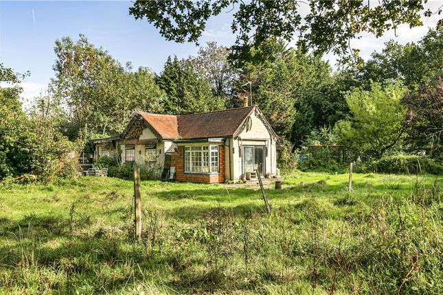 Bungalow for sale in Hurst Lane, Egham, Surrey