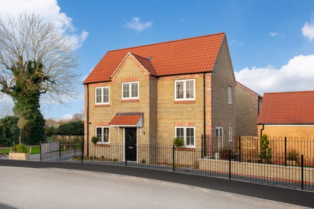 Showhome Photography