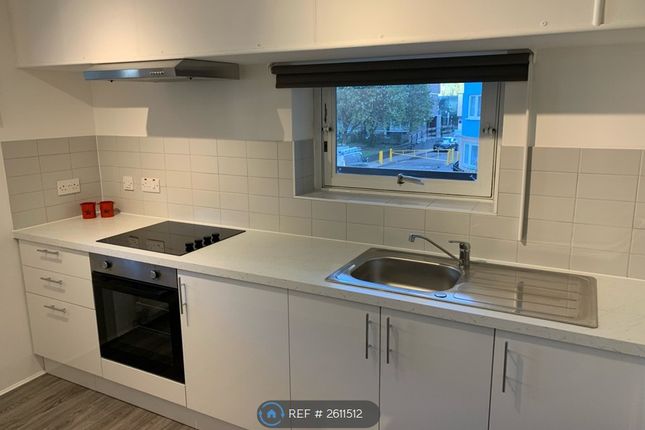 Completely New Kitchen And Appliances