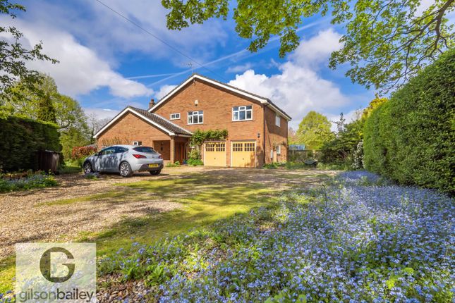 Detached house for sale in The Street, Brundall