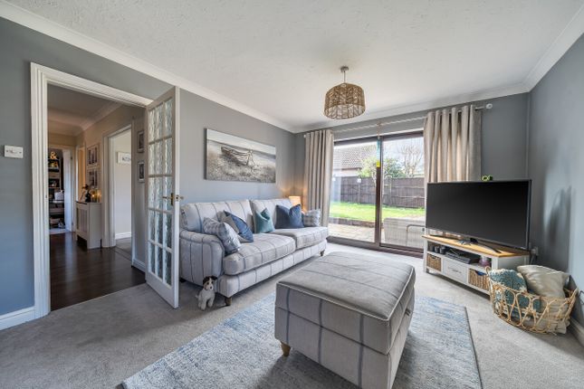 14, Spicer Way, Chard photo 2