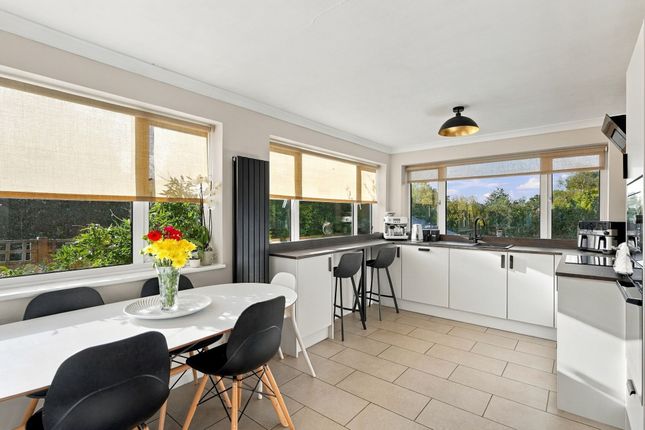 Petrona, Heathfield photo 2