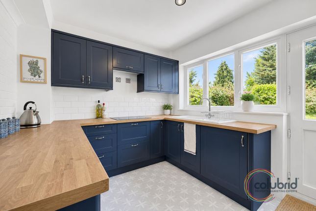 56, Beehive Lane, Chelmsford photo 4
