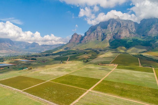 Simondium Plaisir Wine Estate Farm 6, Simondium, Cape Winelands, Western Cape ...
