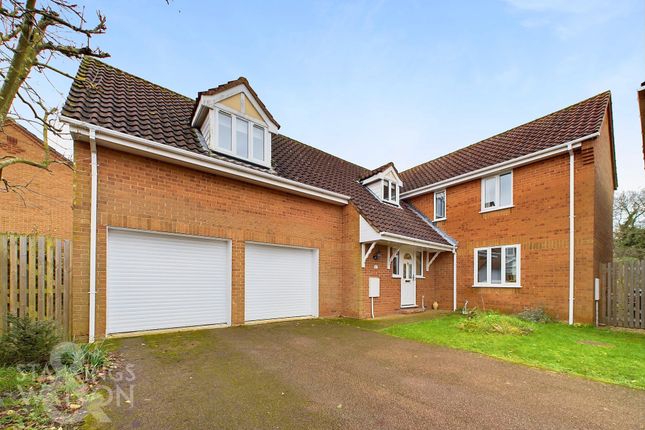 Thumbnail Detached house for sale in Steggles Drive, Roydon, Diss