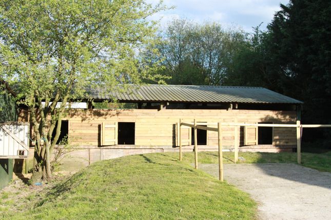 equestrian property for sale surrey sussex equestrian property for sale surrey sussex