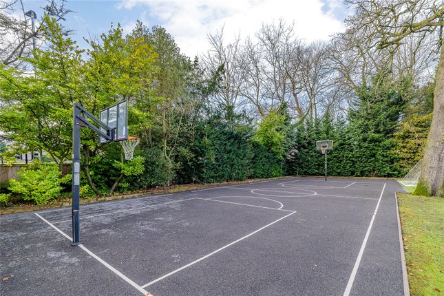 Basketball Court