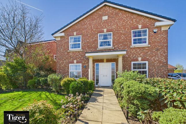 Cam02176G0-Pr0538-Still027