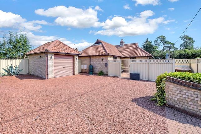 Thumbnail Detached bungalow for sale in Mill Lane, Woolpit, Bury St. Edmunds