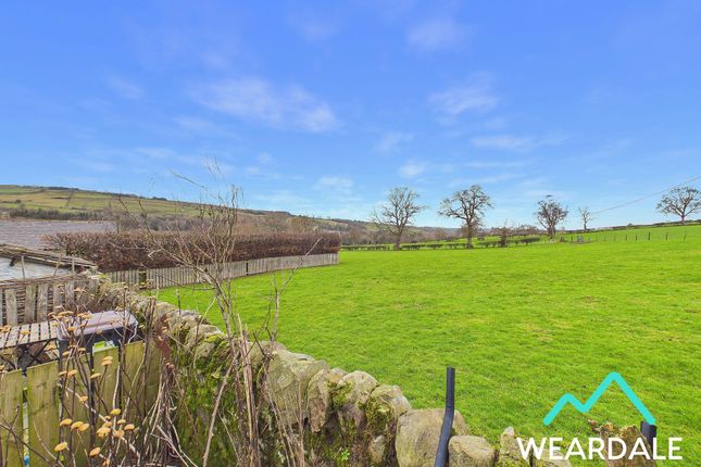 3 Belle Vue, Bishop Auckland photo 4