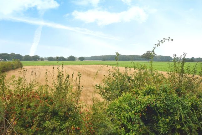 68, Parsons Heath, Essex photo 4