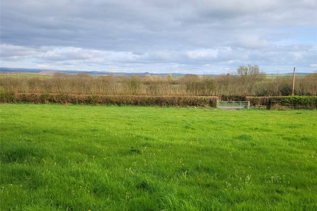 Land for sale in Lifton, Devon