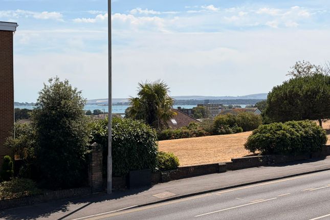 Professionals, Longfleet Road, Poole photo 2