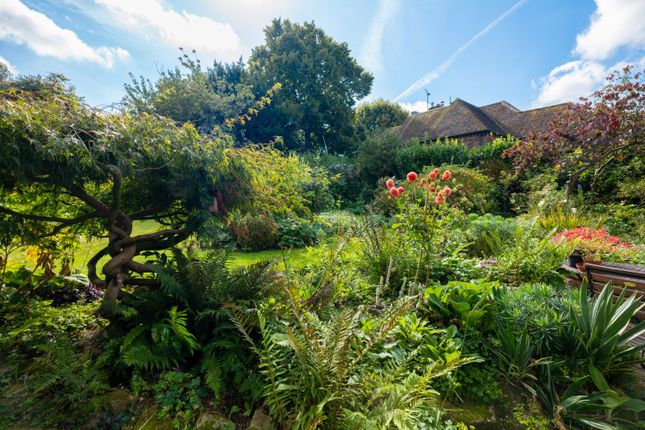 Detached house for sale in The Green, Horsted Keynes
