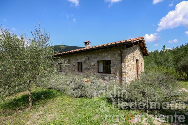 Farm for sale in Italy, Tuscany, Arezzo, Chiusi Della Verna