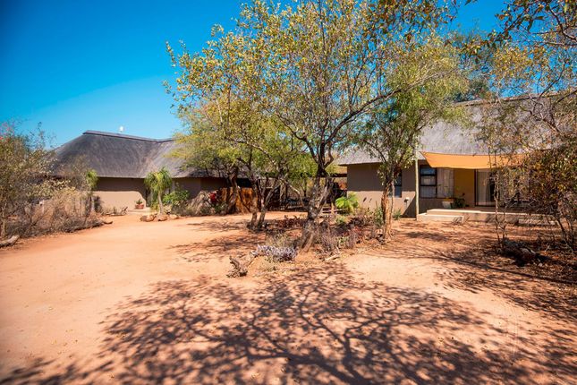 Detached house for sale in 590 Kanniedood Street, Hoedspruit Wildlife Estate, Hoedspruit, Limpopo Province, South Africa