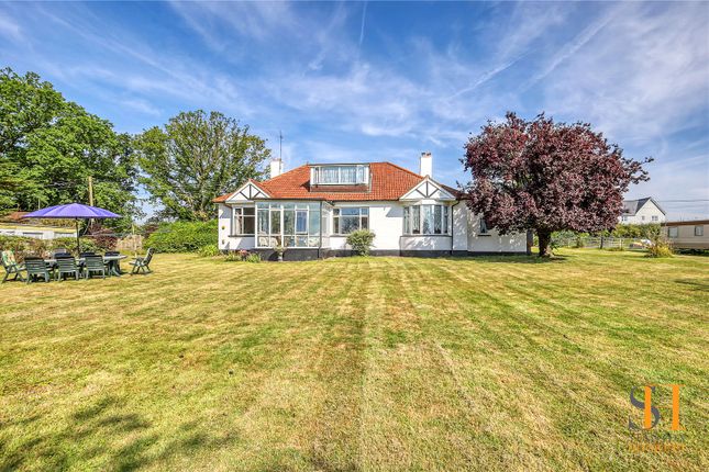 Thumbnail Equestrian property for sale in Tile Works Lane, Rettendon Common, Chelmsford, Essex