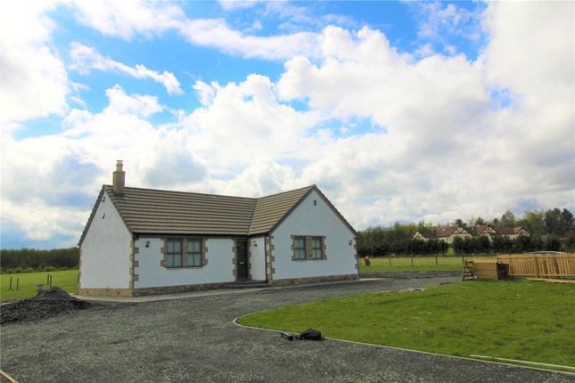 Thumbnail Detached house to rent in Bickerton Crofts, Hens Nest Road, Bathgate