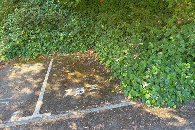 73, County Street, Bristol photo 3