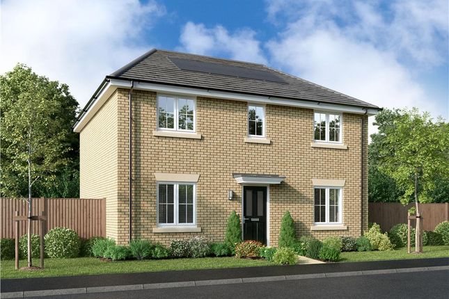 Thumbnail Detached house for sale in "The Portwood" at Off Trunk Road (A1085), Middlesbrough, Cleveland