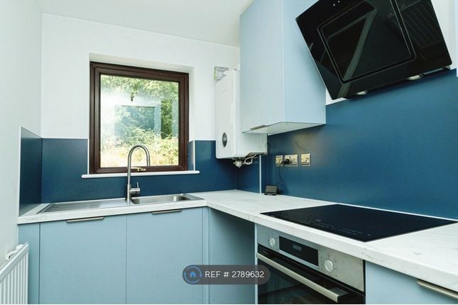 Westminster Road, Exeter photo 4