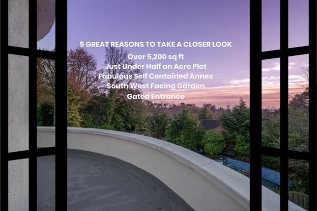 Open Window View.Jpg