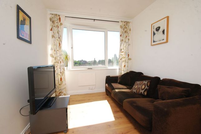 Kersfield Road, Putney photo 3