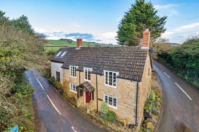 Thumbnail Detached house for sale in Brook Street, Shipton Gorge, Bridport