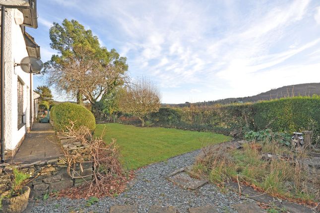 Ynys Hir, Newport photo 4