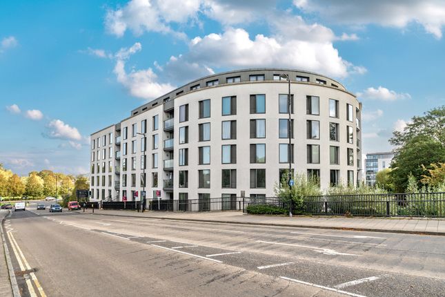 1360472-1-68Dbdcd...