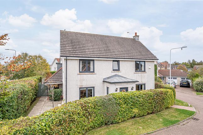 Untitled (1 Of 1).Jpg