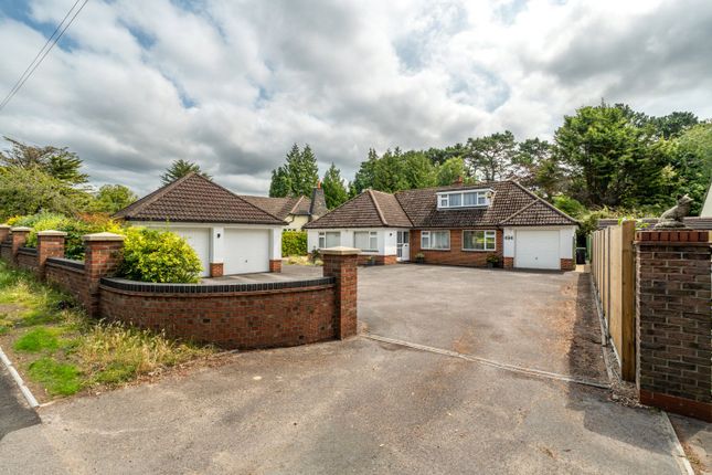 494, Ringwood Road, Dorset photo 4