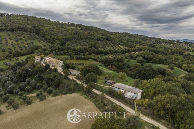 Thumbnail Farmhouse for sale in Strada Provinciale Cinigianese, Cinigiano, Grosseto, Tuscany, Italy