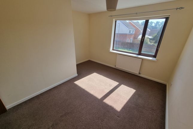 15, Swansea photo 5