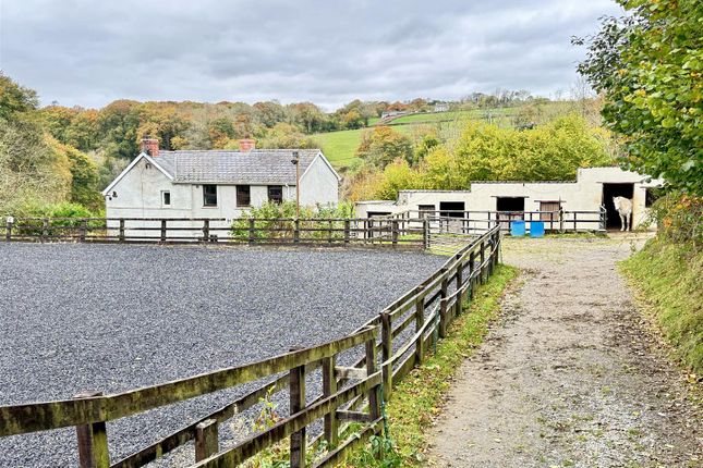 Maesyronnen, Llangeitho, Tregaron photo 3