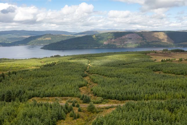 Thumbnail Land for sale in St. Catherines Forest, Cairndow, Cowal Peninsula, Argyll &amp; Bute