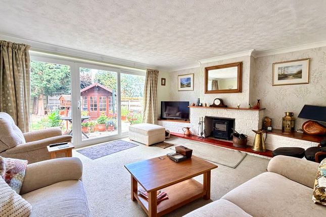 Sukina, Furnham Crescent, Chard photo 4