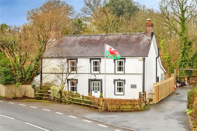Tyddyn Castell,, Eglwyswrw, Dyfed photo 2
