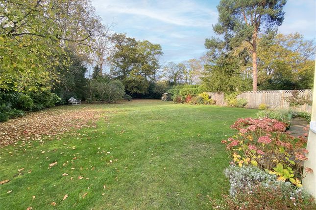 12, Westcar Lane, Walton-On-Thames photo 2