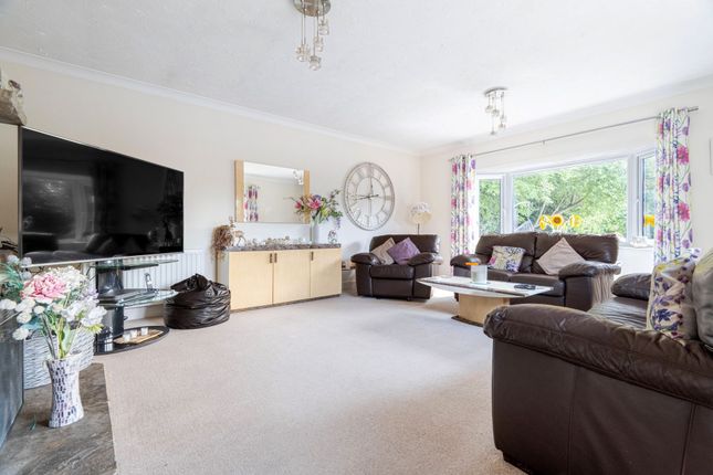 40 Grove Road, Lowestoft photo 3