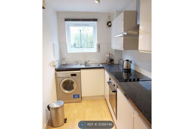 Broomspring Close, Sheffield photo 3