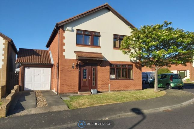 3 Bedroom Detached