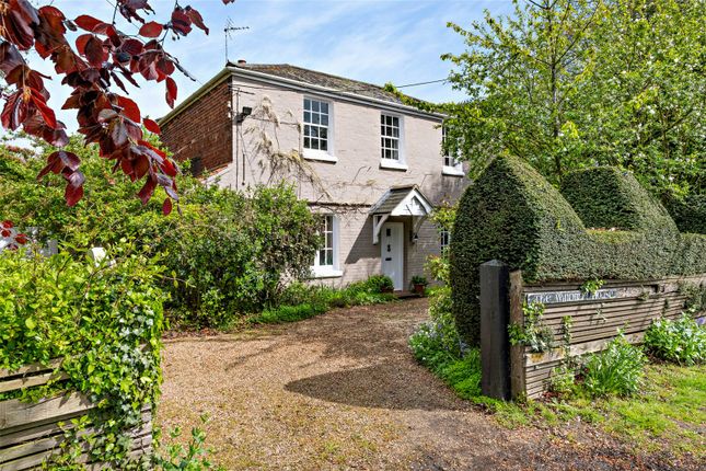 Thumbnail Detached house for sale in Old Yarmouth Road, Sutton, Norwich, Norfolk