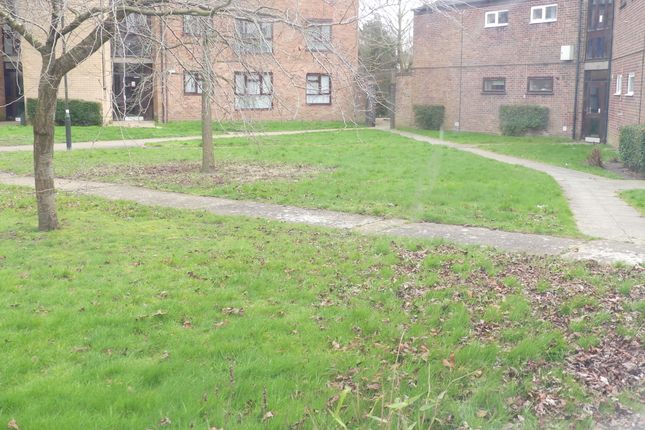 30, PIPPIN GREEN, NORWICH photo 5