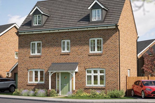 Thumbnail Detached house for sale in "Yew" at Haygate Road, Wellington, Telford