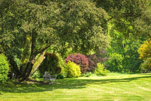 Gardens &amp; Grounds