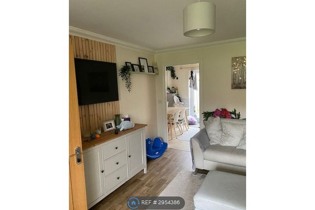 Ash Close, Littlehampton photo 5