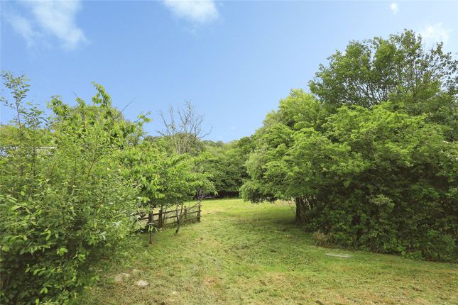 LAND- Hoards Farm,, Marklye Lane, East Sussex photo 2